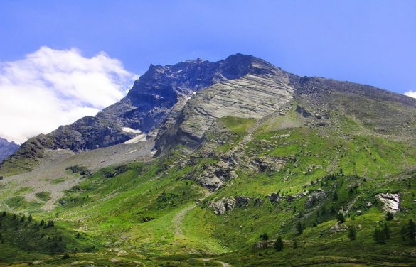 pokrajina v Švici: zeleni travniki in visoke gore