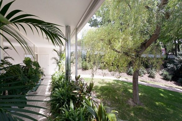 19_Villa_Tugendhat odprta panoramska stena ter zelenje povsod. Zunaj na vrtu in lončnice v stavbi