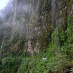 Yungas road ali death road