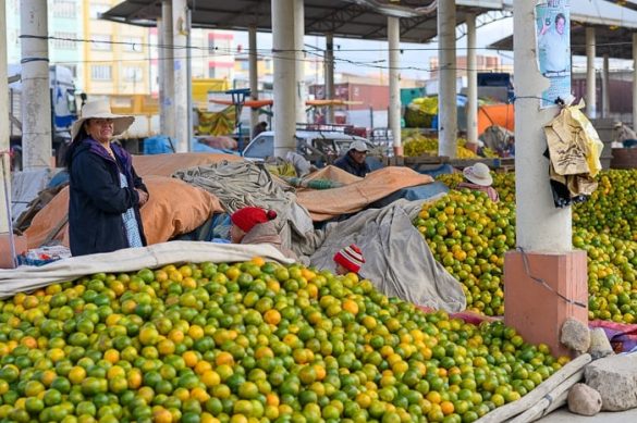 tržnica z mandarinami