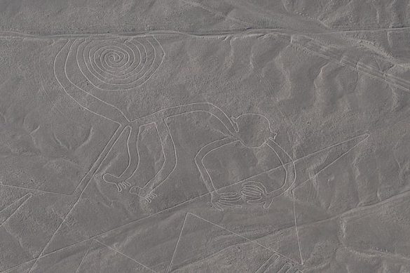 Nazca lines - opica