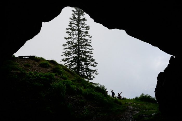 pogled iz jame potočka zijalka proti smreki