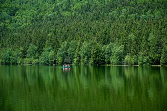 jezero zelene barve z zelenimi smrekami v ozadju