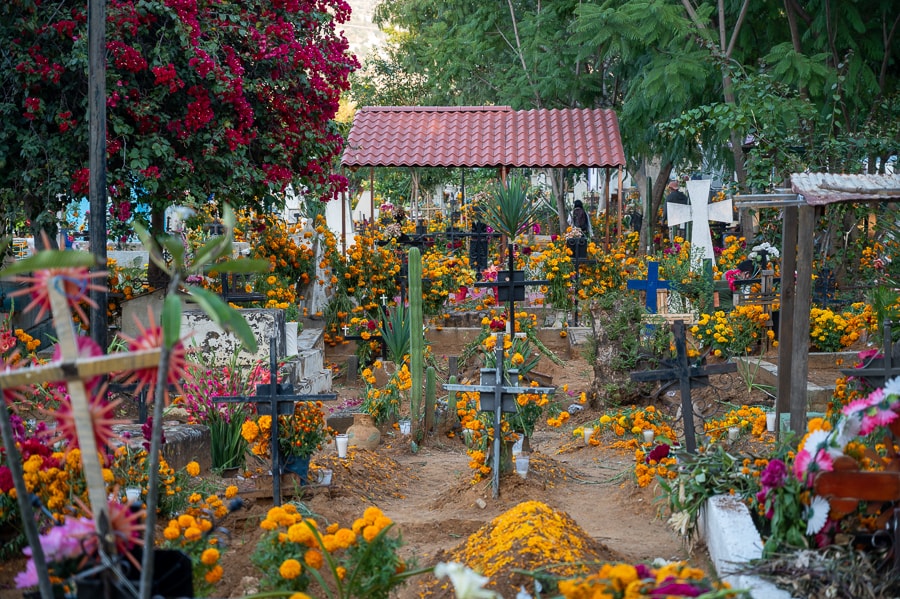 mehiško pokopališče pred Dia de los Muertos