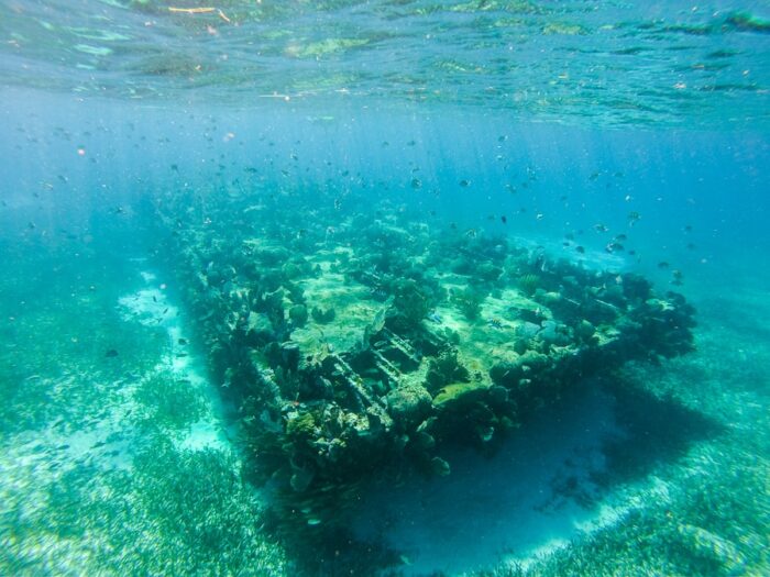 potopljena ladja, prerasla s koralami