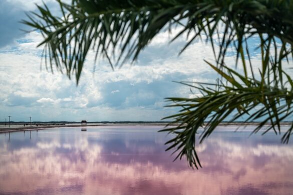 Las Coloradas - roza jezero na Jukatanu, top znamenitosti Mehike