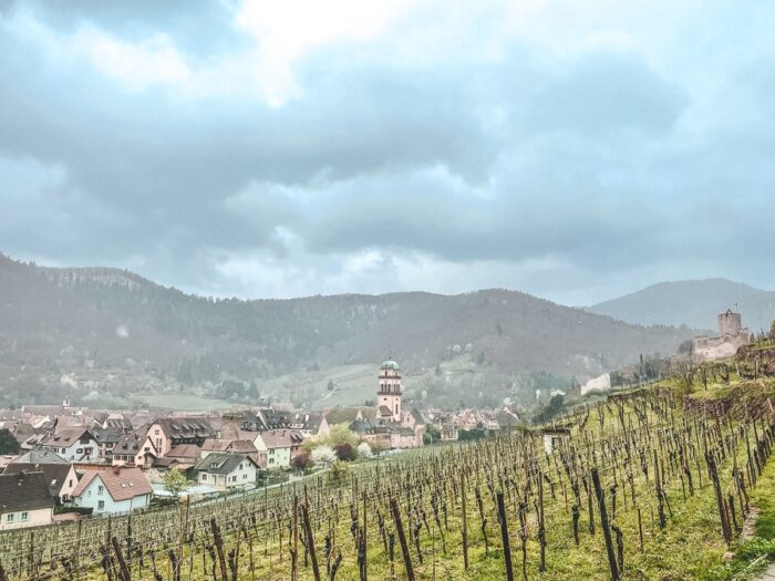 pogled na vas Kaysersberg in alsaške vinograde