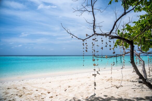 peščena plaža in turkizno morje, lokalni otok Thoddoo, Maldivi