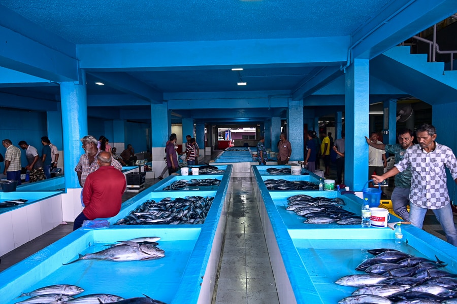 ribja tržnica, Male, Maldivi