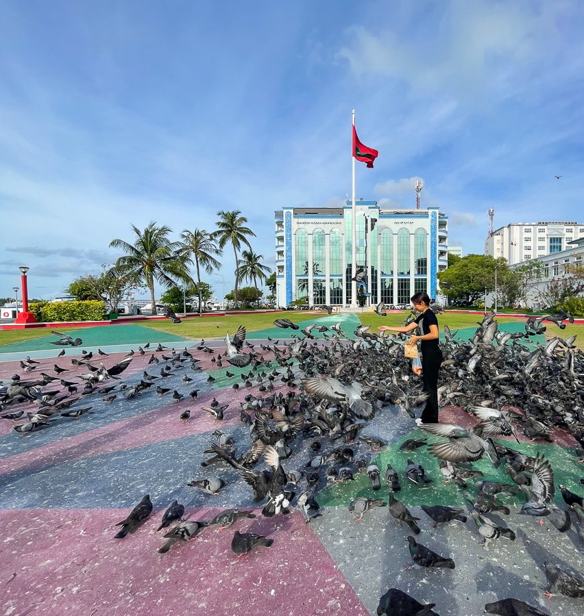 golobi na Trg republike, Male, Maldivi