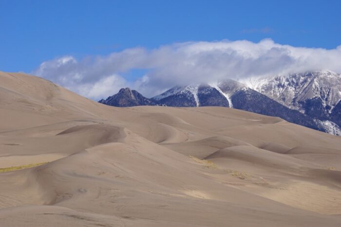 Great Sand Dunes v Koloradu. Bele sipine z visokimi, zasneženimi gorami v ozadju
