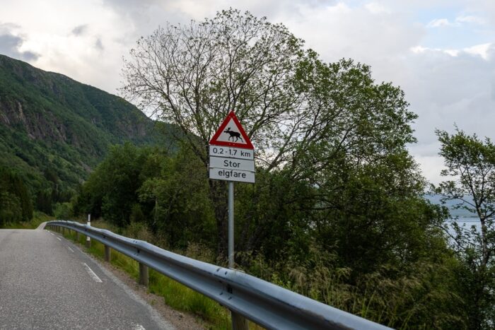prometni znak, ki opozarja na severne jelene