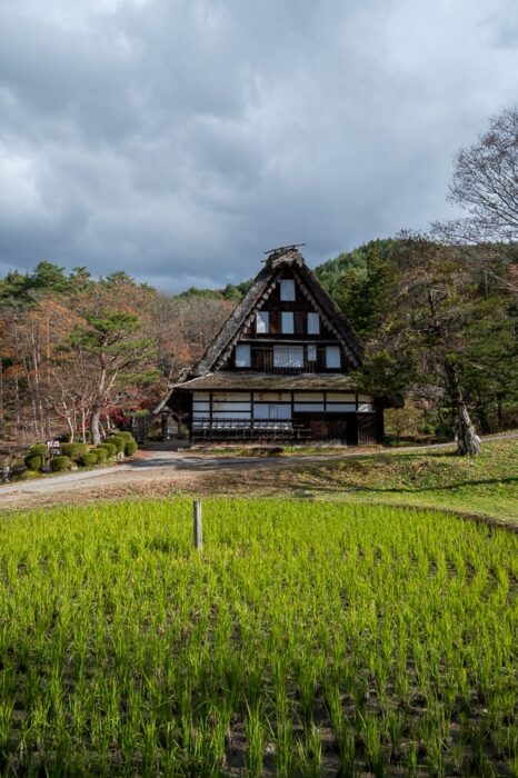Tradicionalna japonska hiša z nasadom riža spredaj