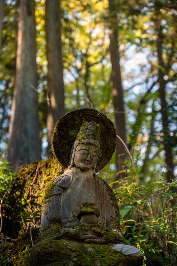 japonsko svetišče sredi gozda
