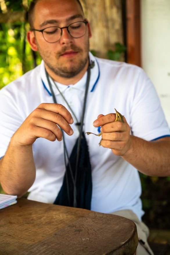 vodomcev gaj obrockanje Lahkihnog naokrog © copyright – 23_ ornitolog drži v rokah ptico