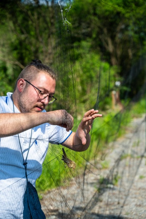 vodomcev gaj obrockanje Lahkihnog naokrog © copyright – 26_ ornitolog rešuje ptico iz mreže