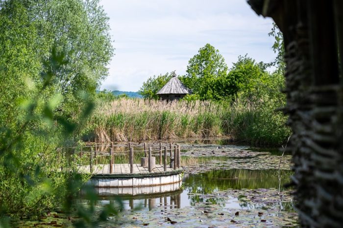 Vodomčev gaj: preplet različnih habitatov z vmesnimi opazovalnicami za živali